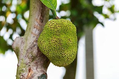 任天堂员工新作《欧米茄 6：三角星域》确定发售日